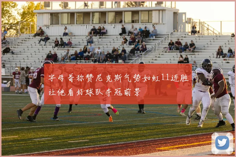 字母哥称赞尼克斯气势如虹11连胜让他看好球队夺冠前景