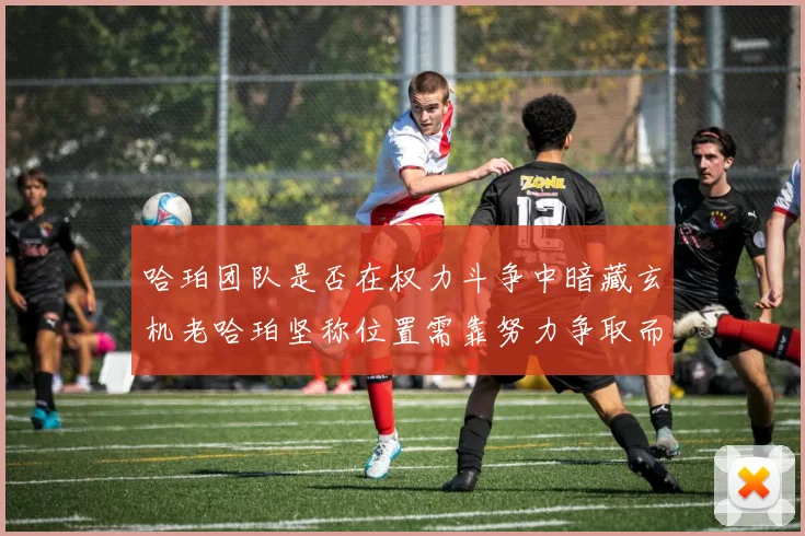 哈珀团队是否在权力斗争中暗藏玄机老哈珀坚称位置需靠努力争取而非索要
